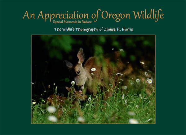 An Appreciation of Oregon Wildlife